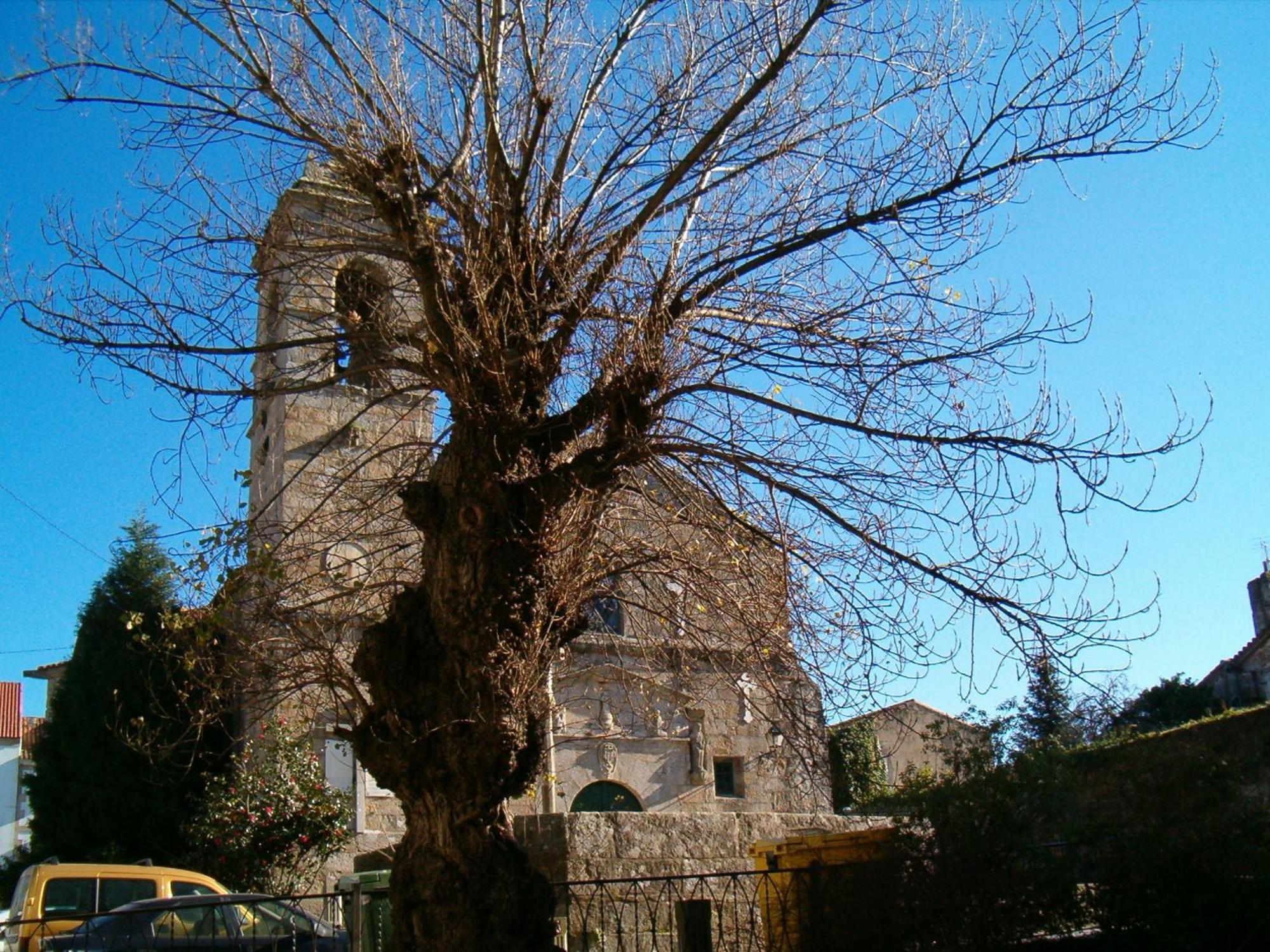 Hotel O Lagar Cambados Buitenkant foto